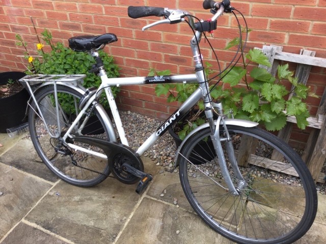 giant expression mens bike